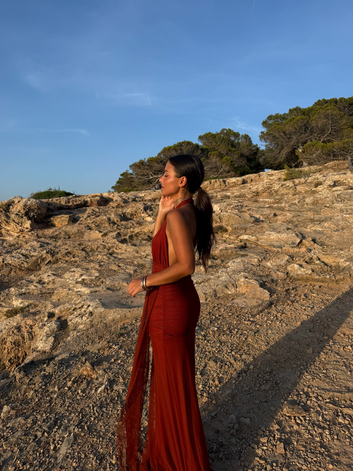 Aina Dress in Terracota