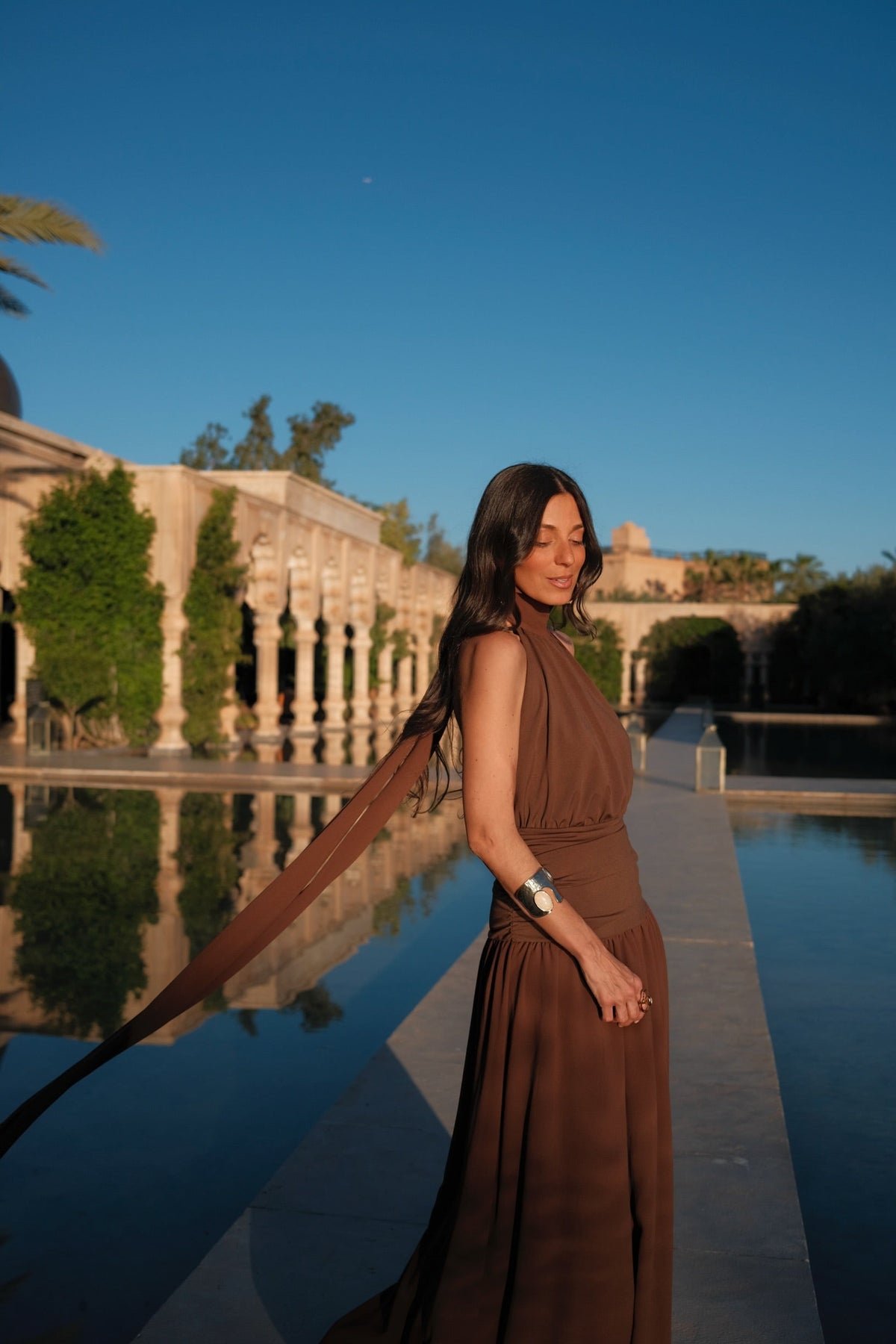 Paloma Dress in Brown