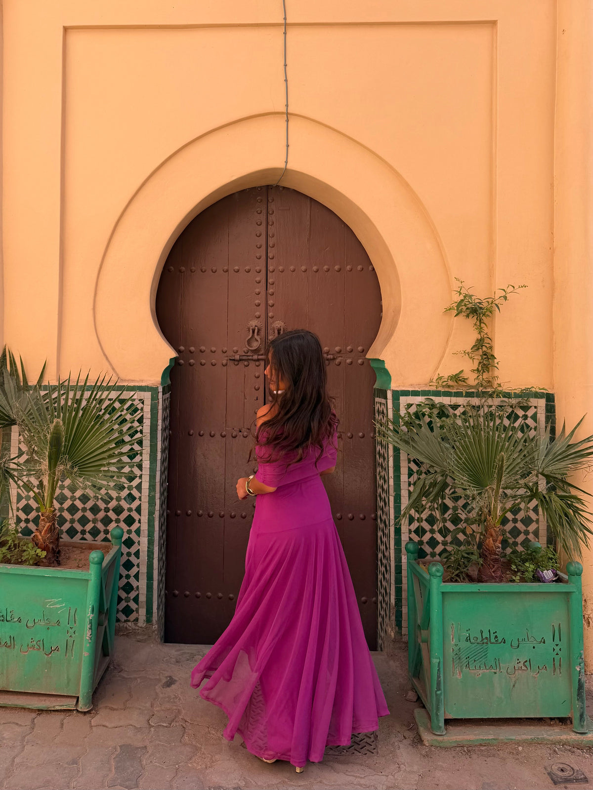 Toledo Dress in Fuxia