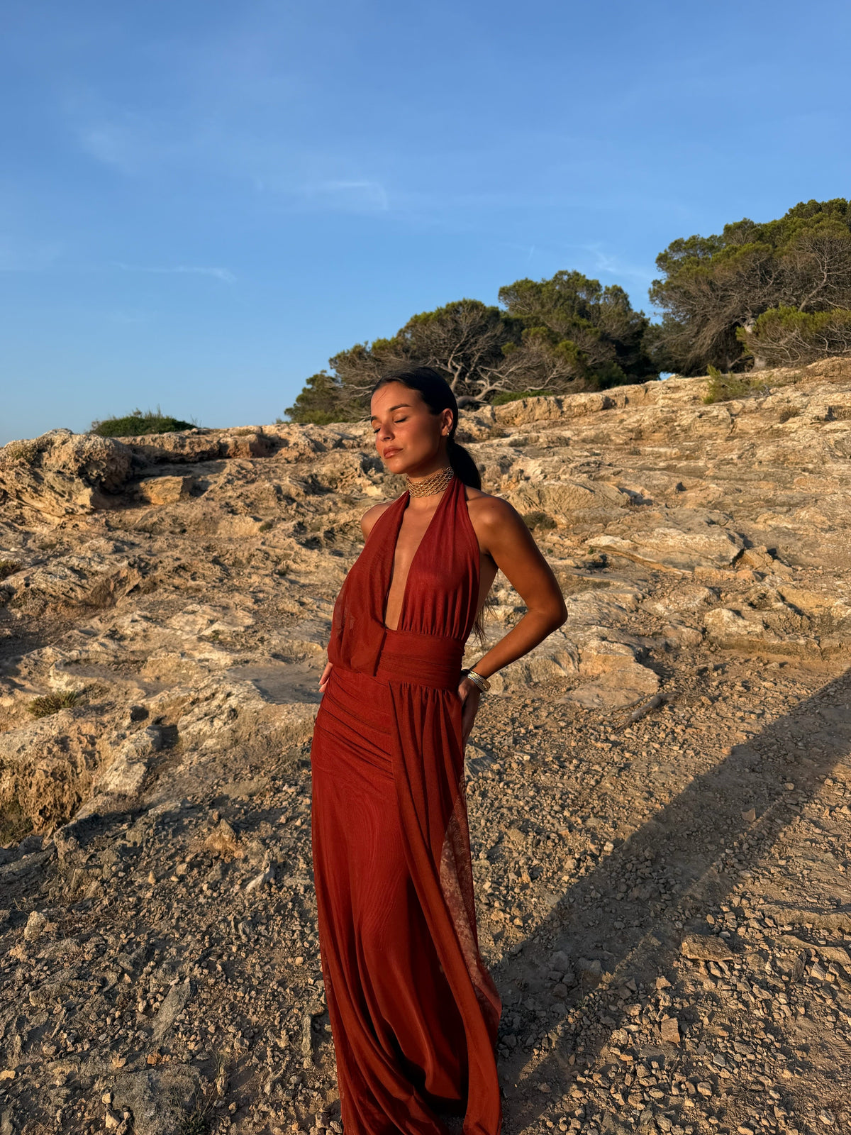 Aina Dress in Terracota