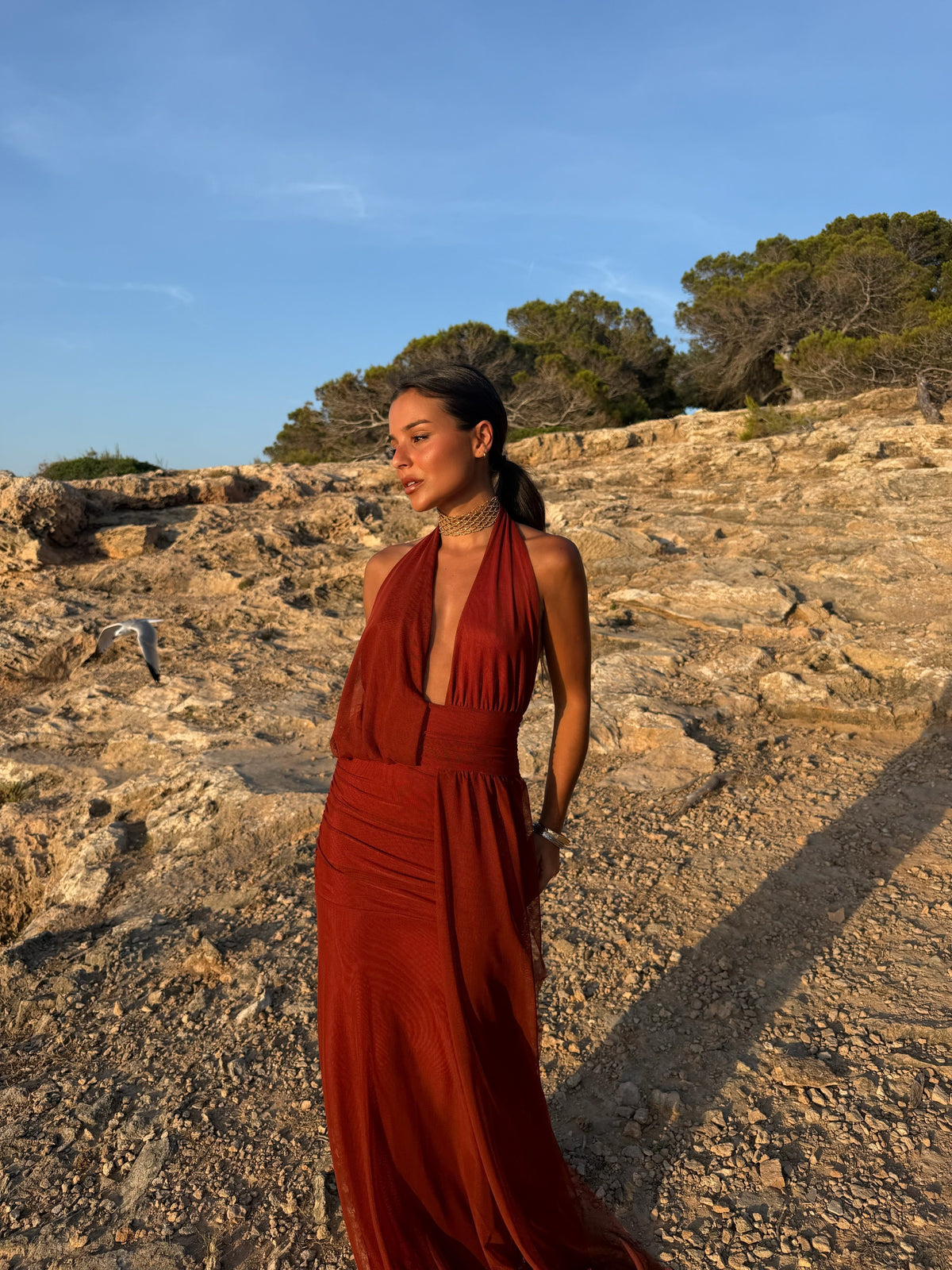 Aina Dress in Terracota