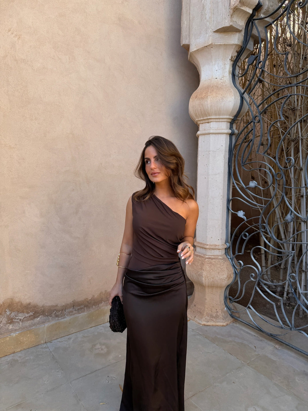 Amira Dress in Brown
